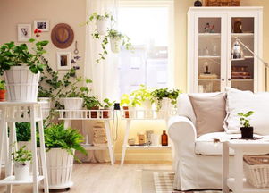 自貢酷暑來(lái)襲，空調(diào)19個(gè)節(jié)能省錢(qián)竅門(mén)，九成家庭還不知道