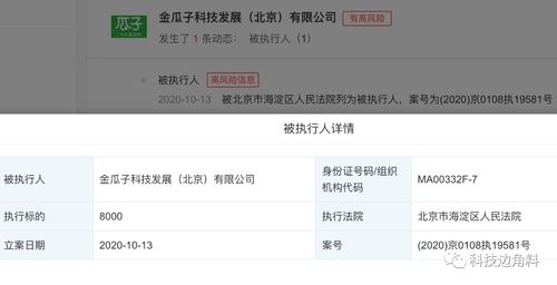 瓜子二手車(chē)成被執(zhí)行人，8000元執(zhí)行標(biāo)的牽出技術(shù)開(kāi)發(fā)糾紛